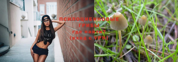 прущая мука Абаза