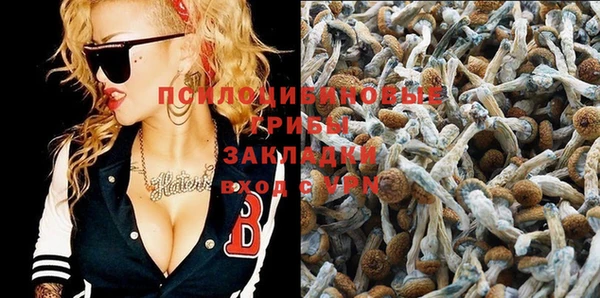 прущая мука Абаза