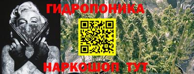 дживик Берёзовский