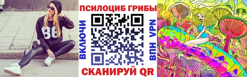 Галлюциногенные грибы Psilocybe  Димитровград 