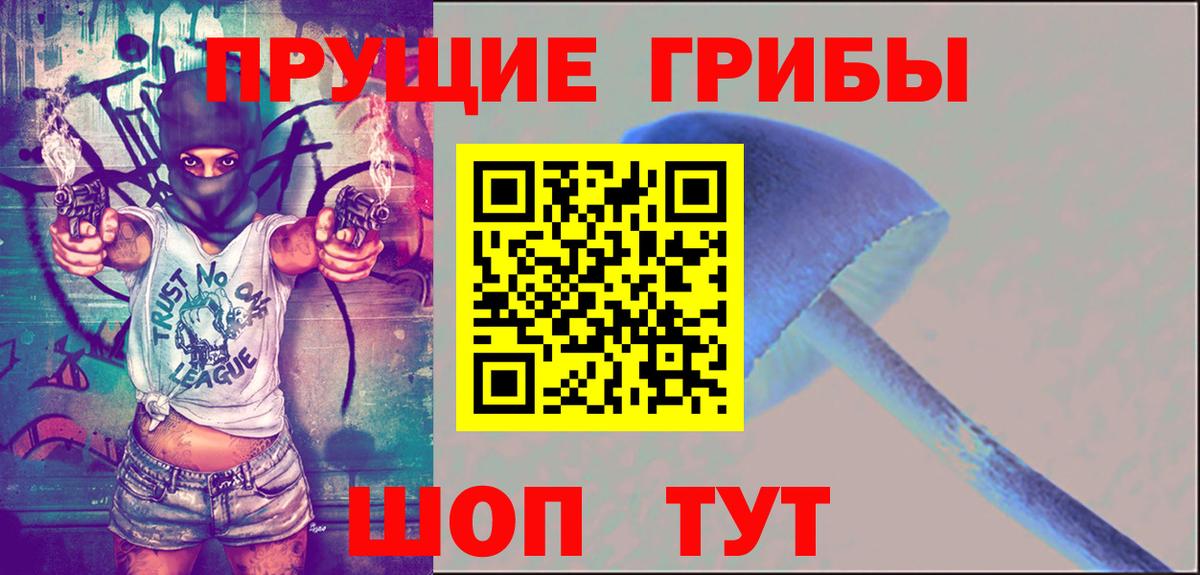 Димитровград  Галлюциногенные грибы мухоморы  Вход с VPN  Галлюциногенные грибы Psilocybe 