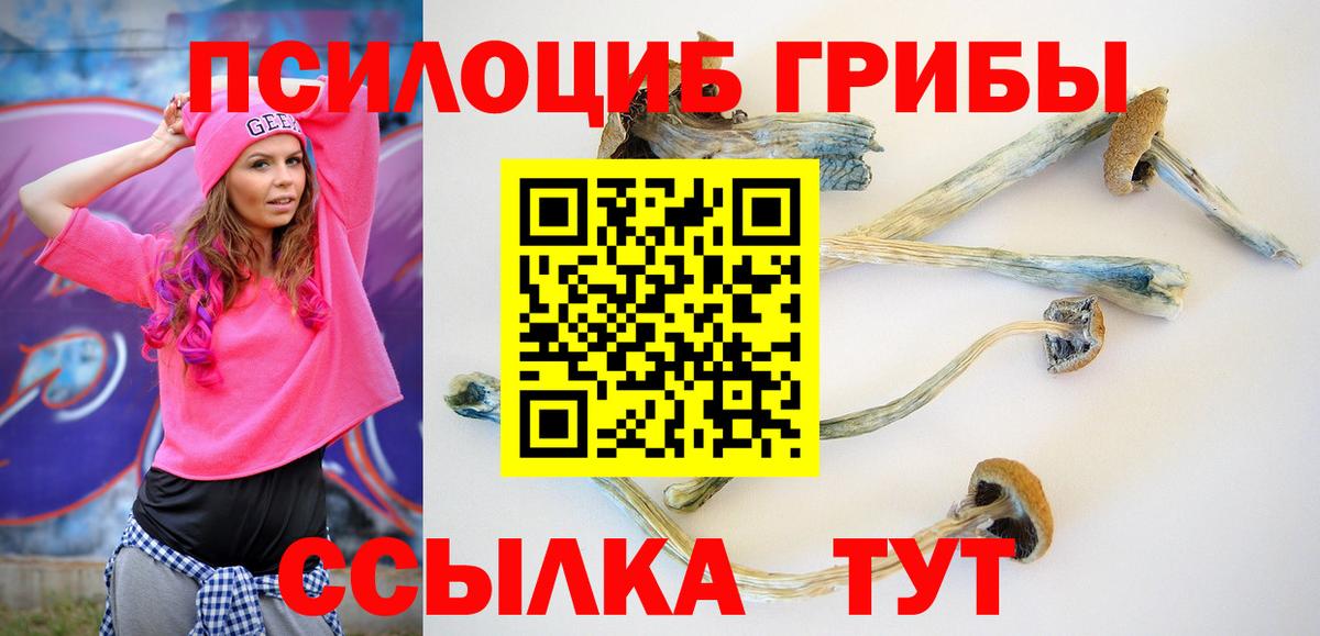 Галлюциногенные грибы Magic Shrooms Димитровград