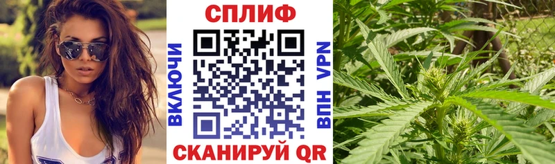 как найти   Димитровград  МАРИХУАНА VHQ 
