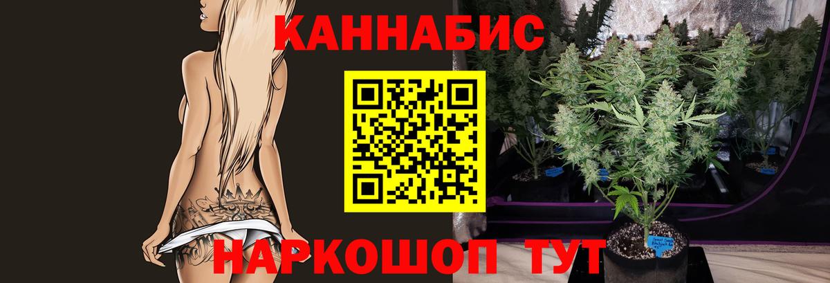 Конопля THC 21%  Бошки Шишки SATIVA & INDICA  Димитровград  Конопля тримм  Вход с VPN  МАРИХУАНА индика 